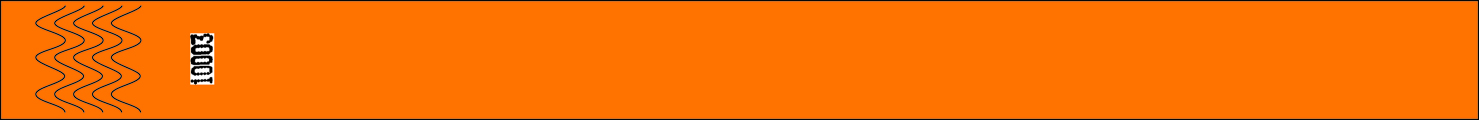 VIP-Bänder, orange