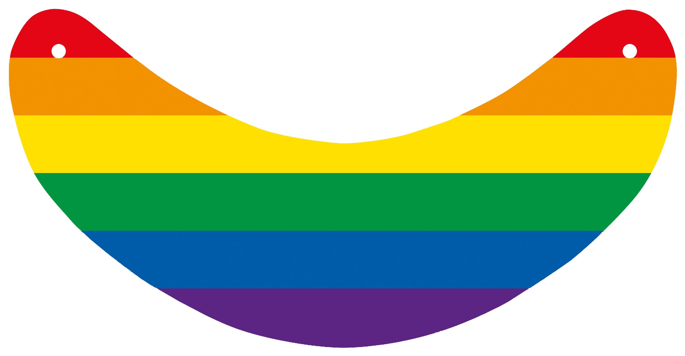 Sonnenblenden Regenbogen